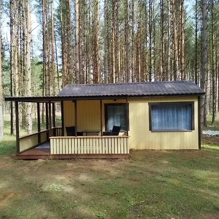 Reinholdi Metsamaja Jabara