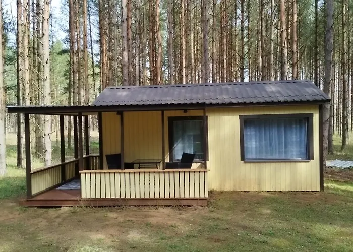 Reinholdi Metsamaja Jabara