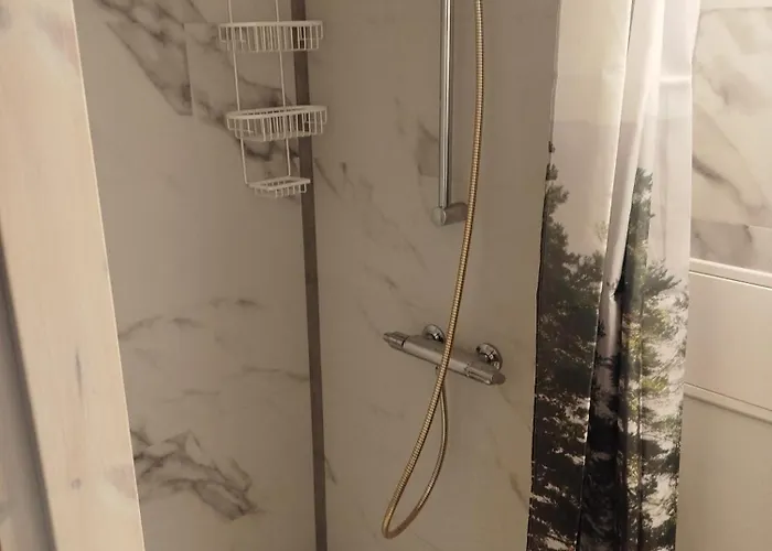 Reinholdi Metsamaja Jabara